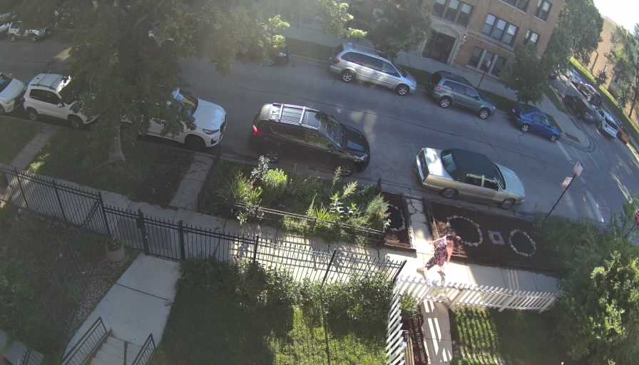 Reolink Camera One_00_Reolink Home Hub One_20260612074310.jpg